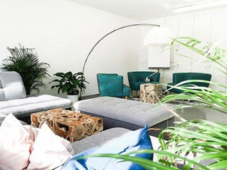helles Zimmer mit Sitzmöbeln und Pflanze